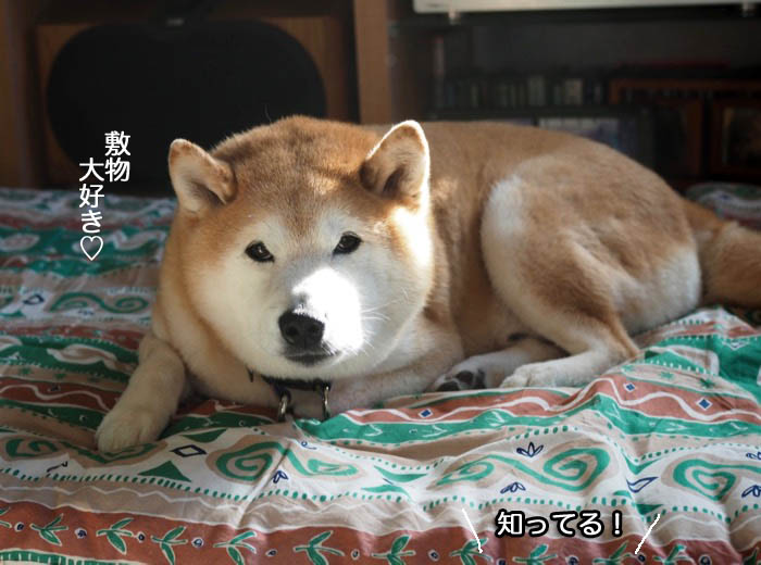 23日ブログ３