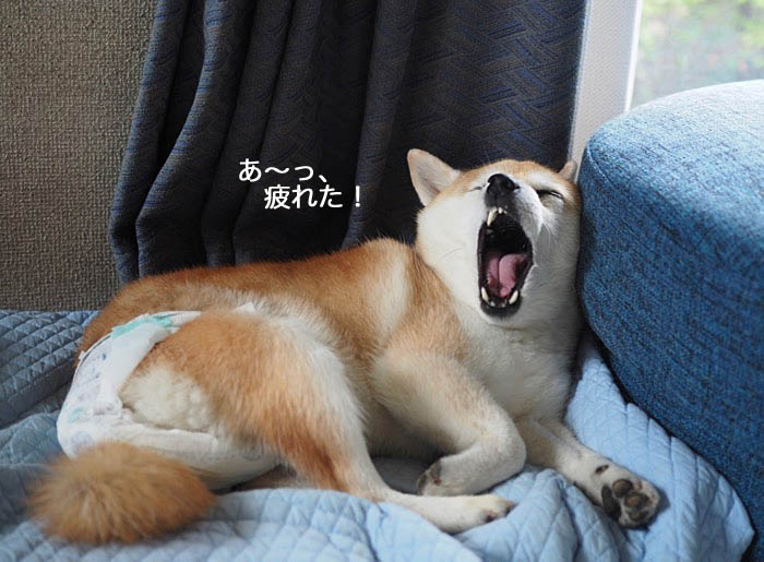 17日夜ブログ１１