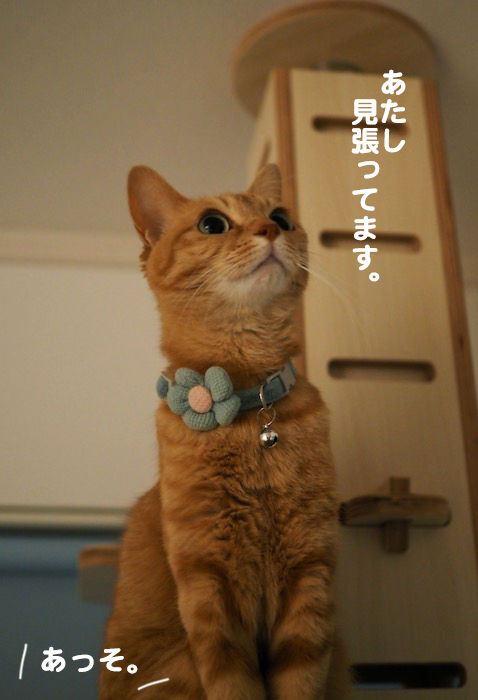 11日夜ブログ９