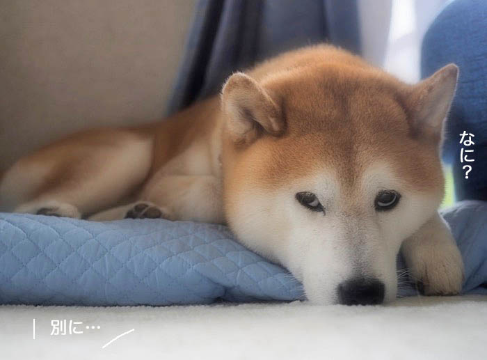 8日ブログ１０