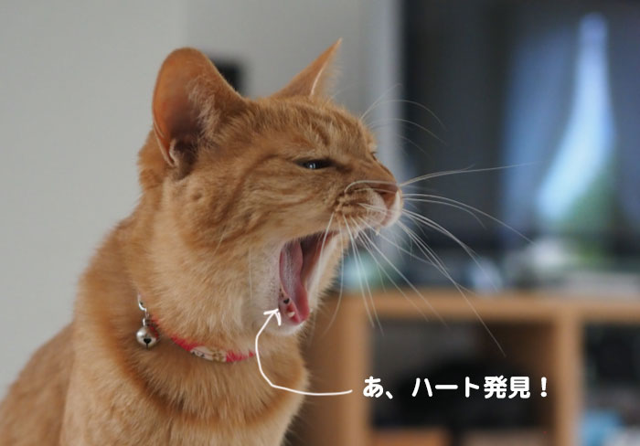 7日ブログ２
