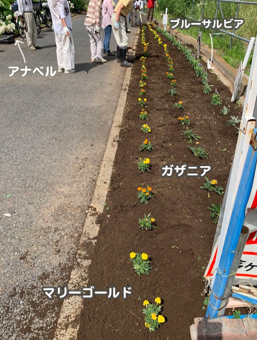 13日夕ブログ６