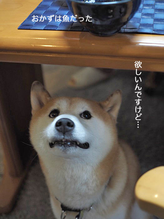24日夜ブログ２