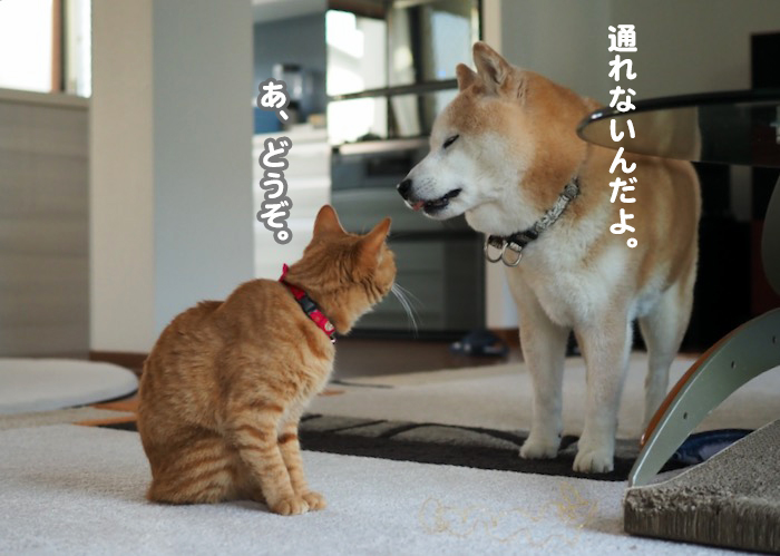 19日ブログ5