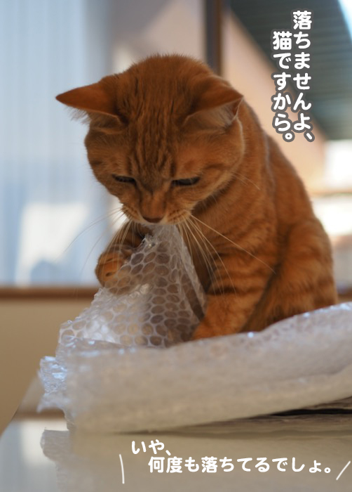 18日夕ブログ６