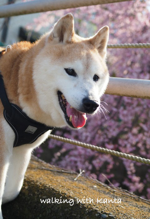 12日ブログ３