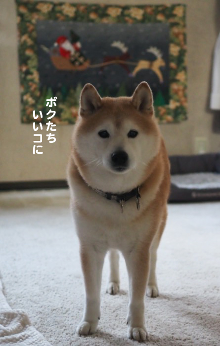 24日ブログ２