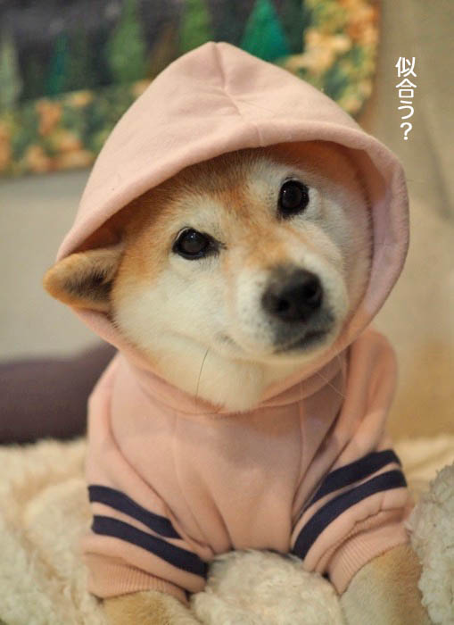 17日ブログ３