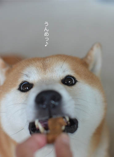 30日ブログ6.jpg