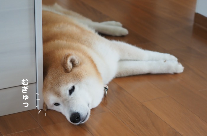 4日夕ブログ３