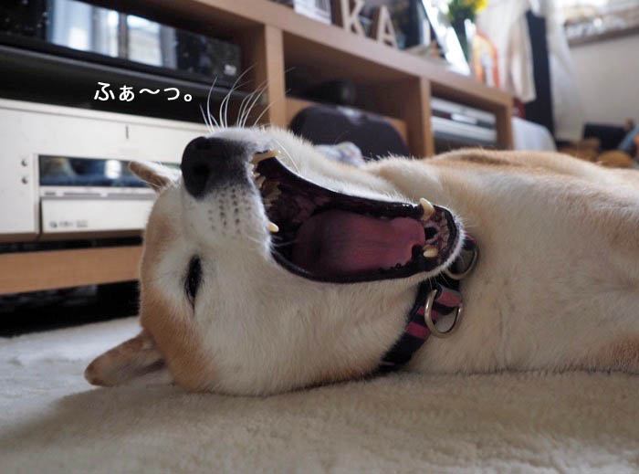 25日ブログ４