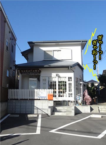 8日ブログ4.jpg