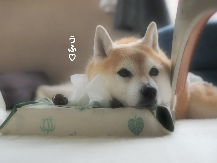 3日ブログ２