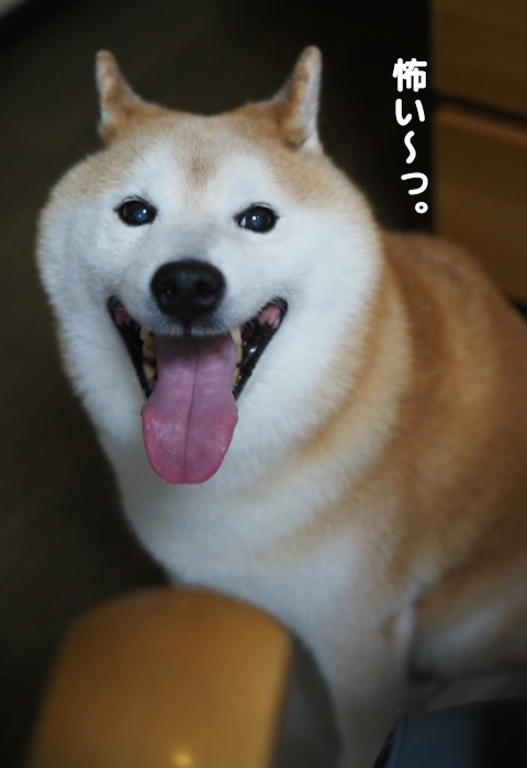 16日夕ブログ３