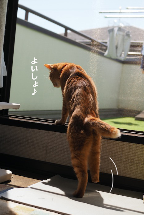 3日ブログ２
