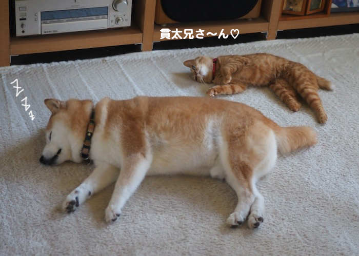 10日夕ブログ３