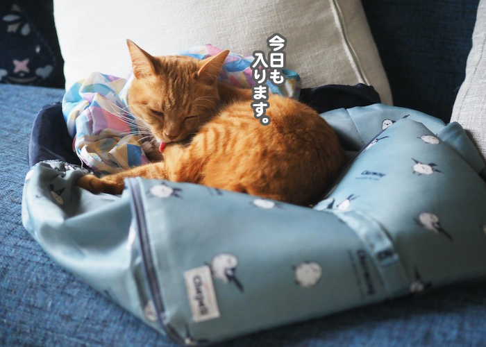 6日夕ブログ６