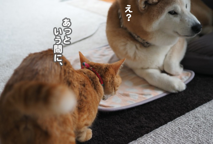 6日夕ブログ５