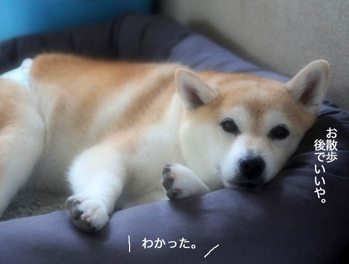 4日ブログ３