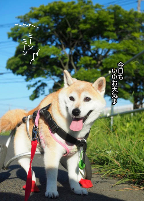 23日夕ブログ2