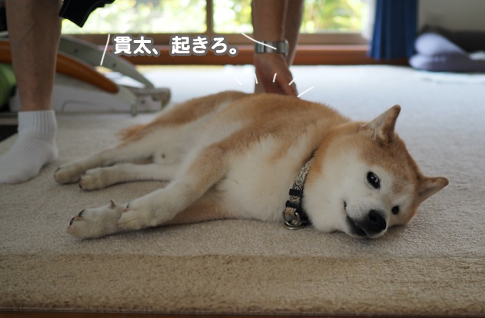 7日ブログ３