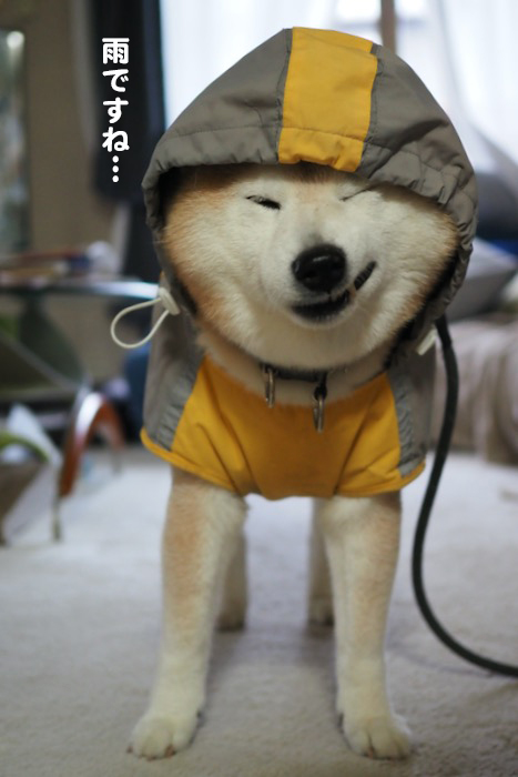 26日ブログ２