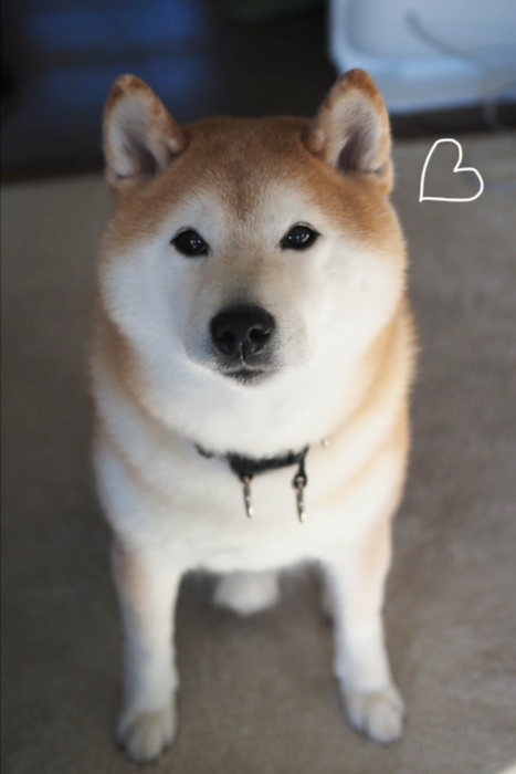 13日夕ブログ８