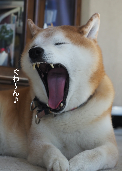 29日夜ブログ８