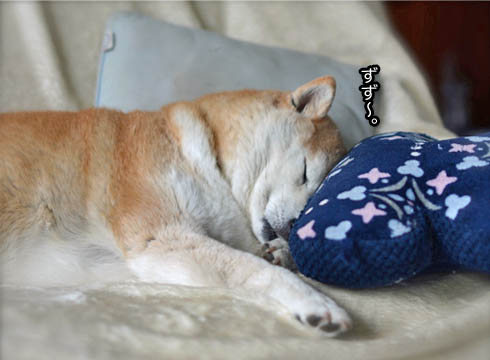 22日ブログ9.jpg