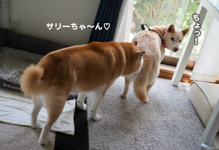 15日夕ブログ１３