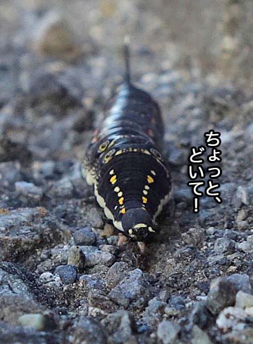 12日夜ブログ３