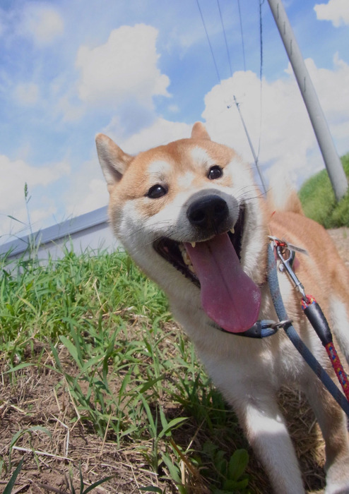 11日ブログ４