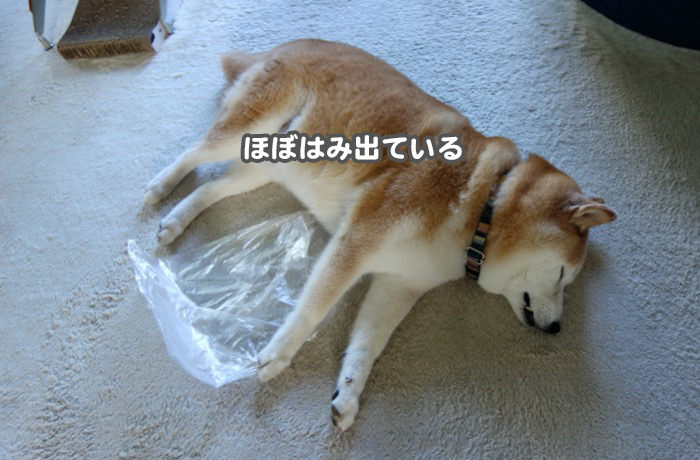 24日夕ブログ３