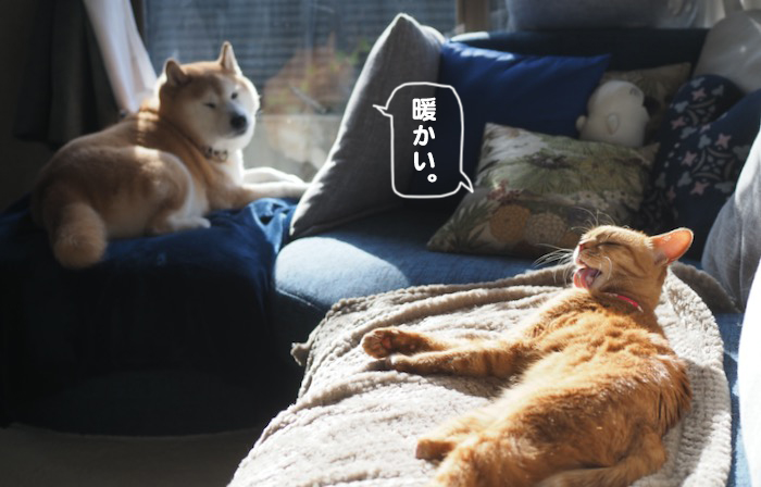 24日ブログ１