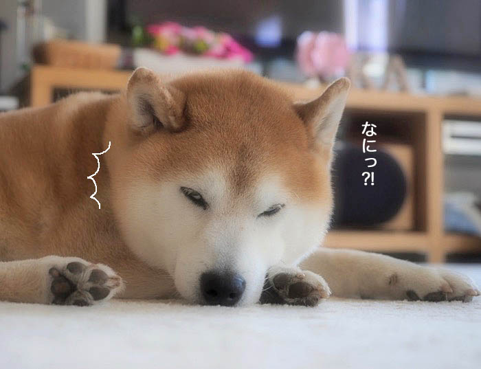5日ブログ２