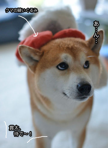31日ブログ4.jpg