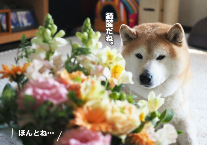 13日夕ブログ２