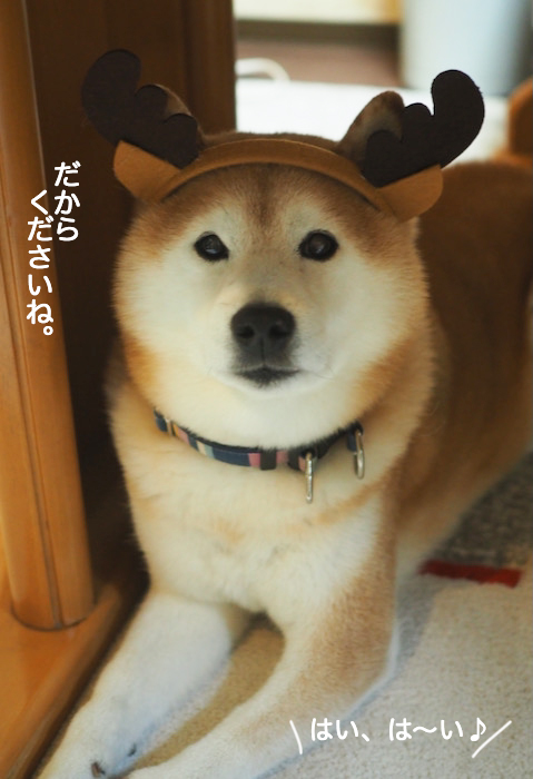 30日ブログ４