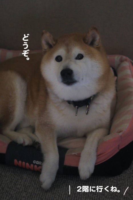 11日ブログ５