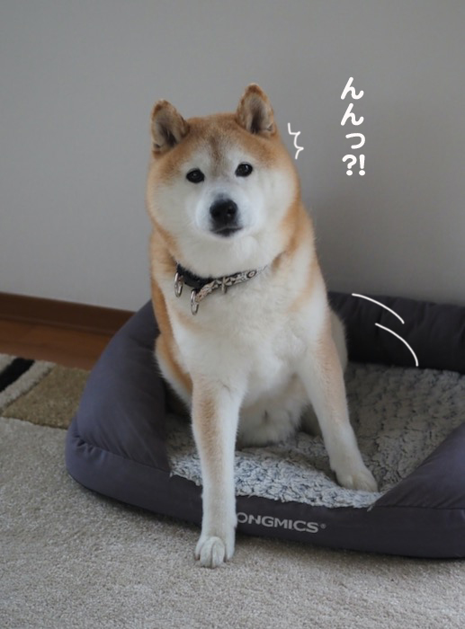 23日夕ブログ２