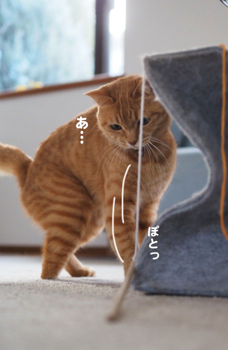 17日夕ブログ６