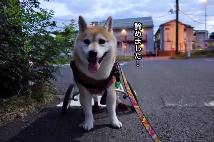 4日午後ブログ３