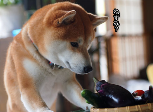 22日ブログ12.jpg
