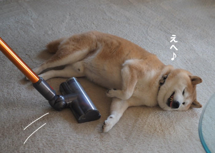 2日夕ブログ１２