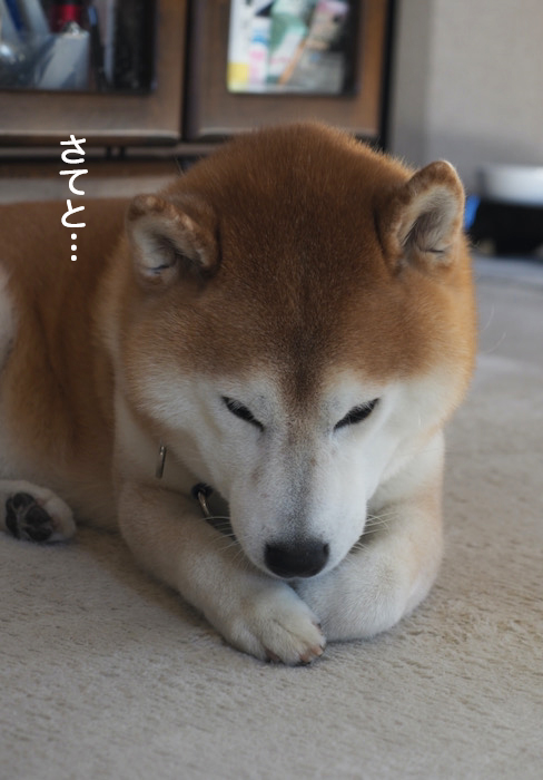 29日夜ブログ２