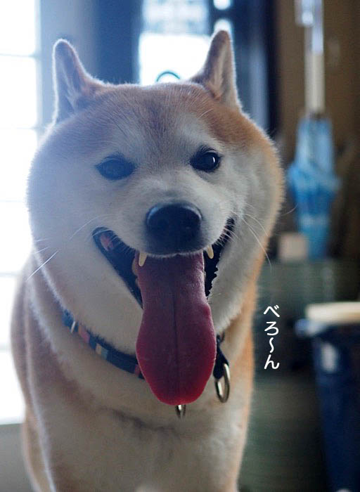 13日ブログ２