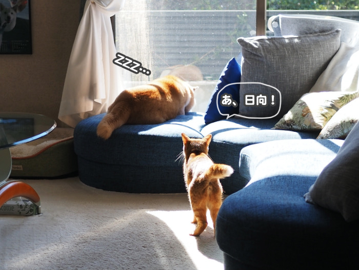 27日ブログ１
