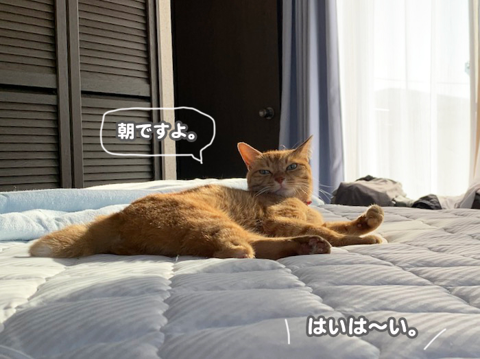 27日夕ブログ６