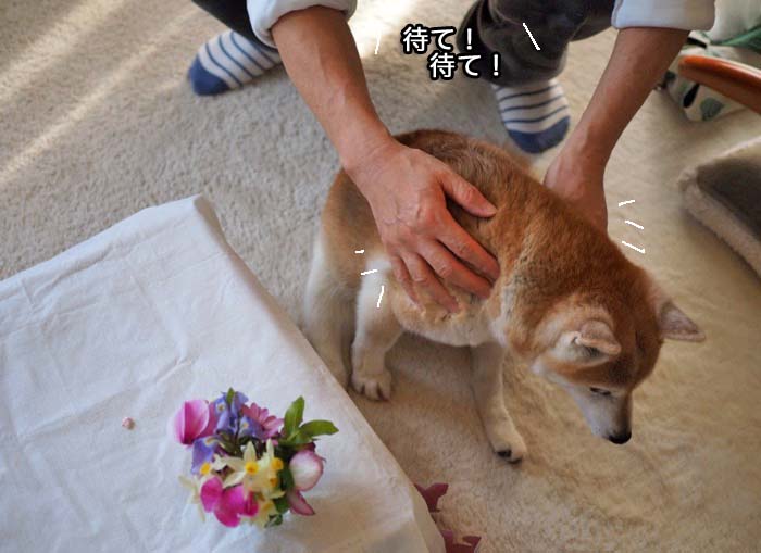3日午後ブログ５