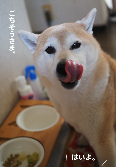 2日夕ブログ５
